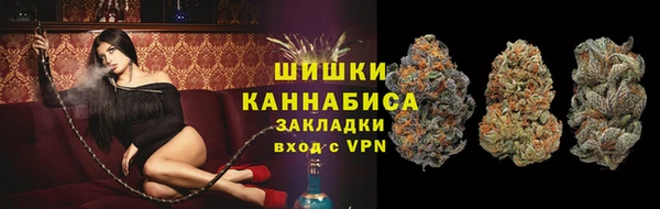 винт Гусиноозёрск