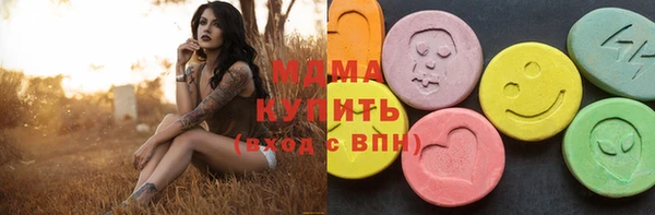 мдпв Гусев