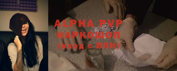 мдпв Гусев