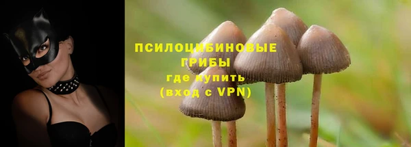 мдпв Гусев
