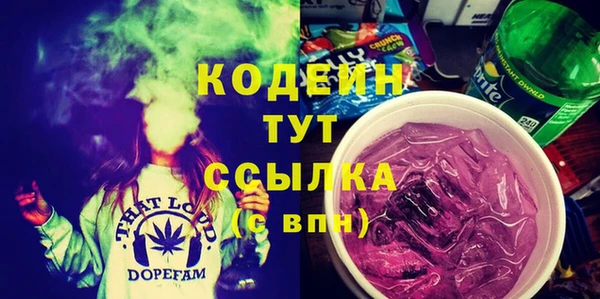 мдпв Гусев
