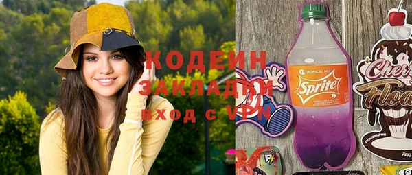 мдпв Гусев