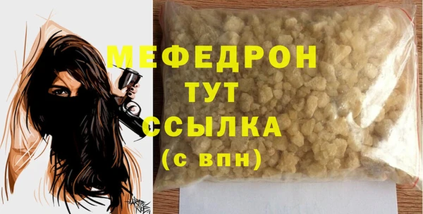 мдпв Гусев
