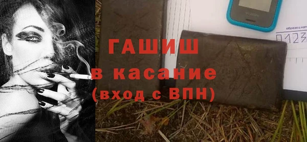 мдпв Гусев