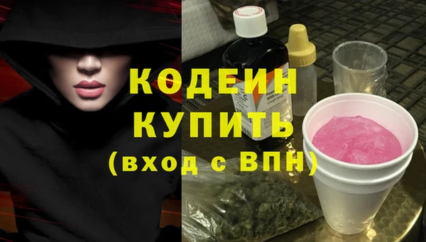 мдпв Гусев