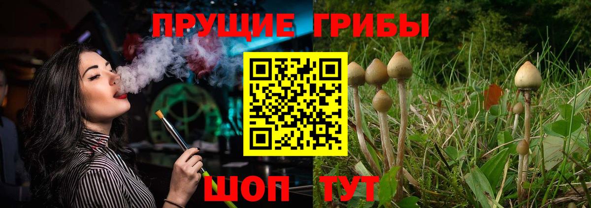 закладки  Галлюциногенные грибы GOLDEN TEACHER  Вход с VPN  Борисоглебск  Галлюциногенные грибы прущие грибы 